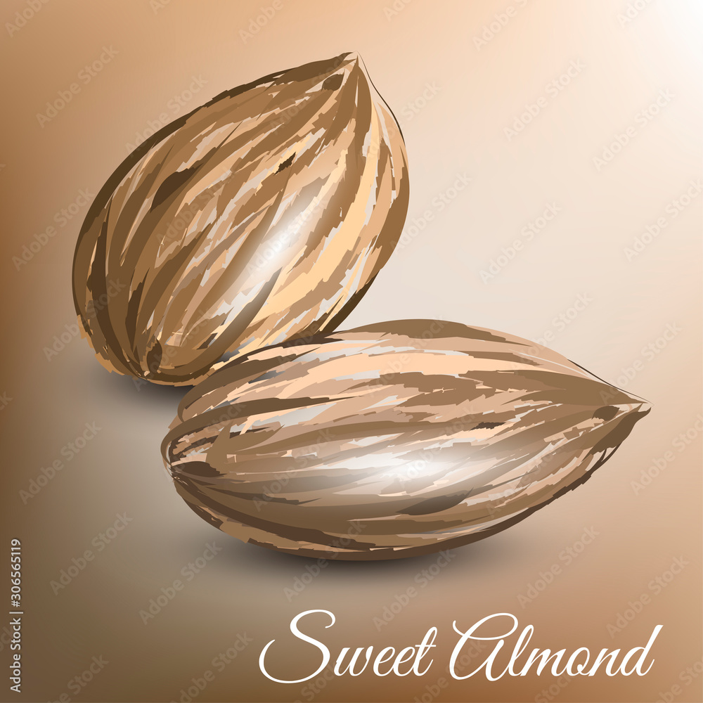 Almond nut set on beige background. Vector illustration. 
