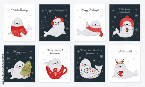 Creative postcard collection for Christmas and New Year with cute seals and winter slogan.
