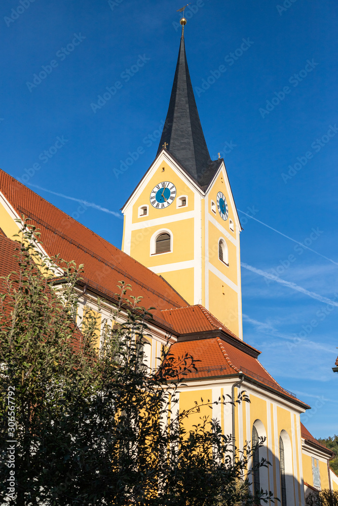 Parish church assumption in Berching, Bavaria in autumn with multicolored tree in foreground