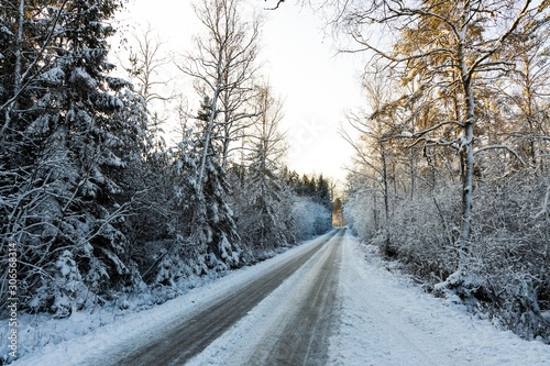 Beautiful view of winter scape. Country road in snow forest. Beautiful nature winter background.