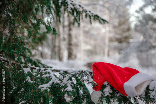 Christmas hat, spruce, snow, Christmas tree under the snow, first snow, Christmas gnome cap, Christmas cap