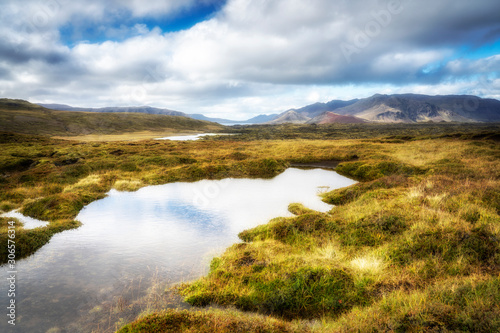 moss covered lava field in the highlands of Iceland