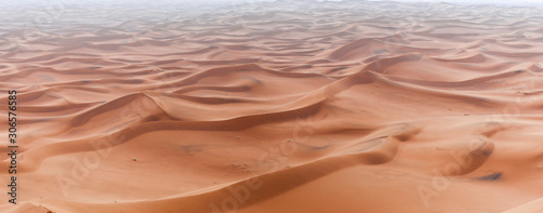 Sand Dune in the Sahara / In the Sahara Desert, sand dunes to the horizon, Morocco, Africa.