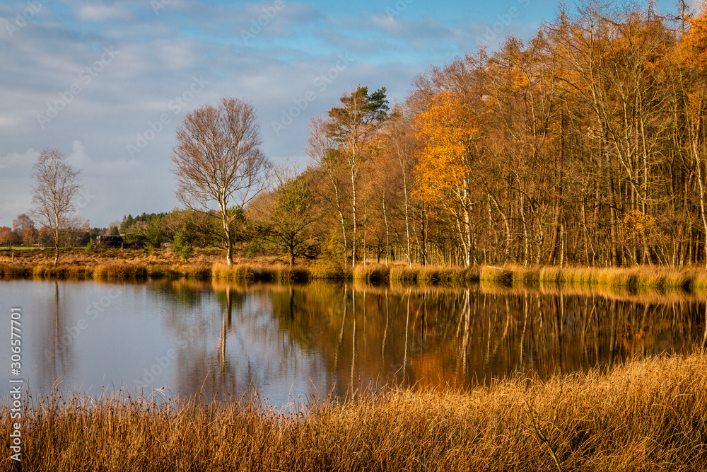 Peat lake in the Netherlands in autumn time ], beautiful blue sky and reflections in the water, picture taken in the province Drenthe nearby the village Steenbergen