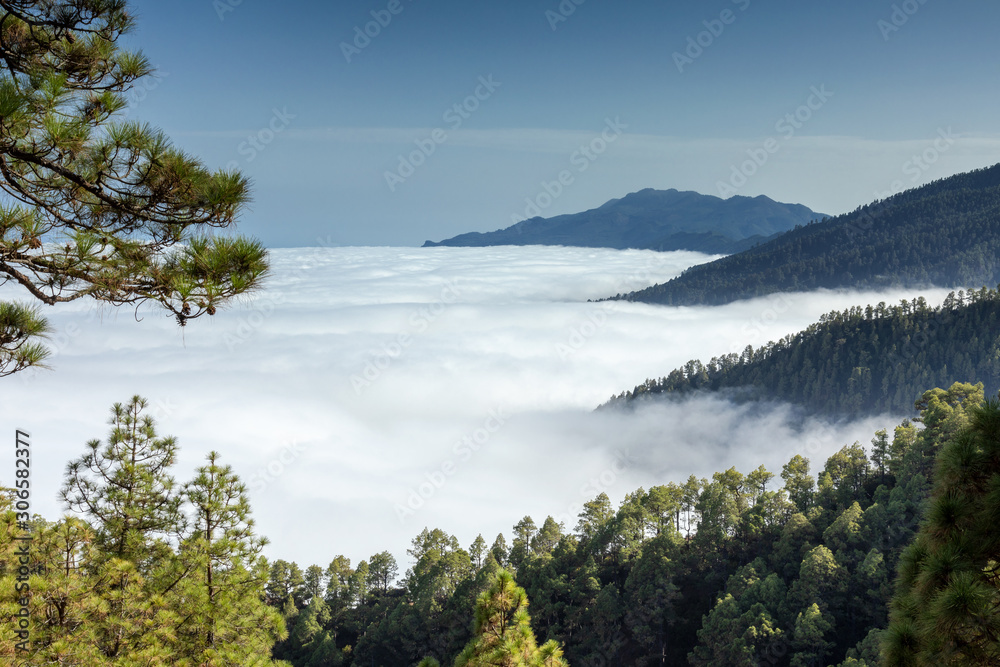 Obraz premium Cloud waterfall of La Palma
