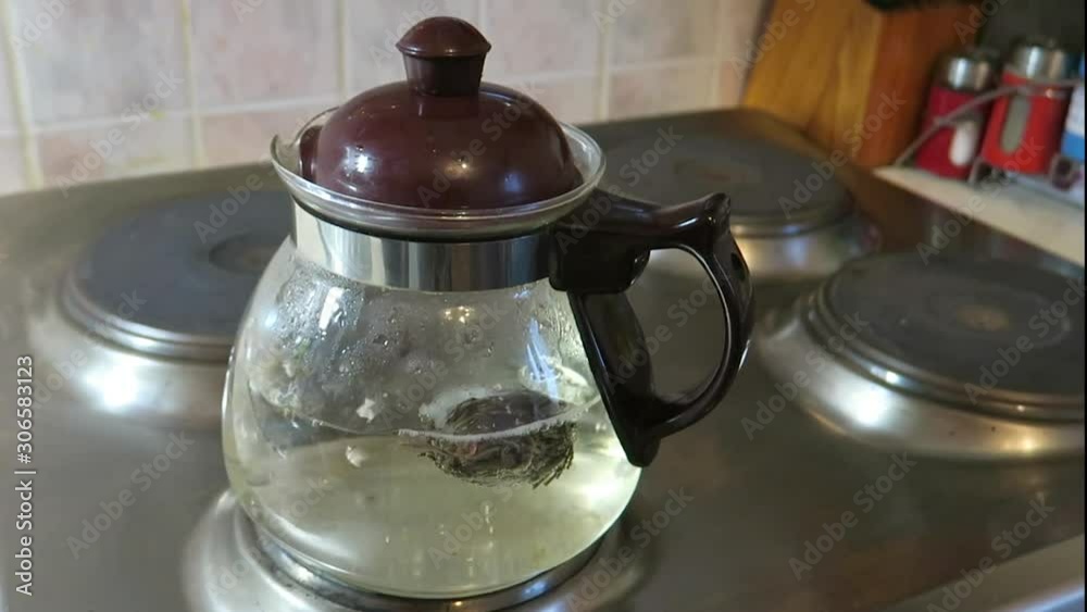 Green Chinese tea brewing process Green Chinese tea brewing process