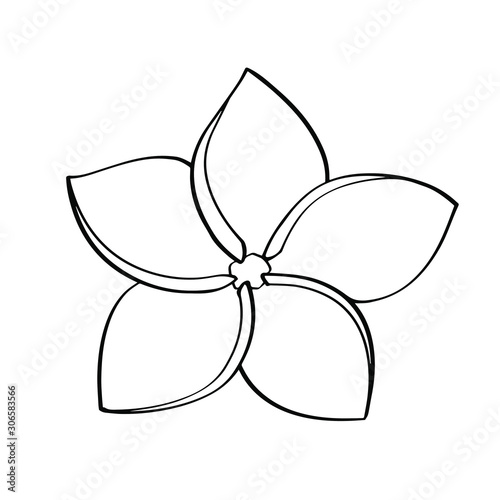 Plumeria flower linear icon isolated on white background. Single line art frangipani. Spa salon design element. Aromatherapy contour symbol. Vector illustration.