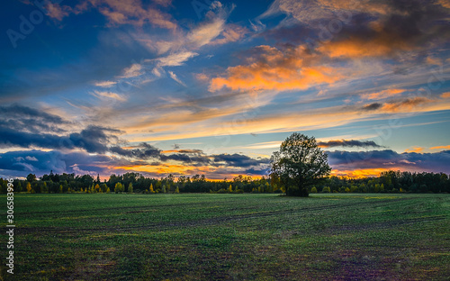 landscape with field and blue sky