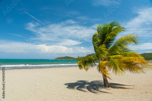 Fototapeta Naklejka Na Ścianę i Meble -  Sand beach in Cuba