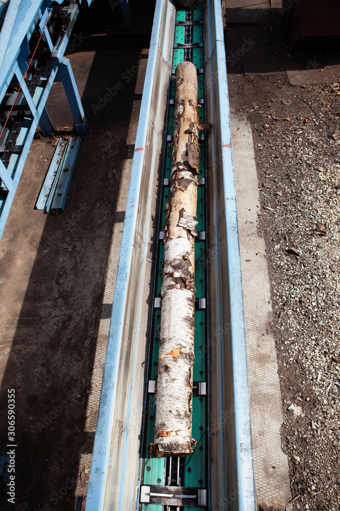 Log transportation on an automatic line in the plywood factory Log transportation on an automatic line in the plywood factory