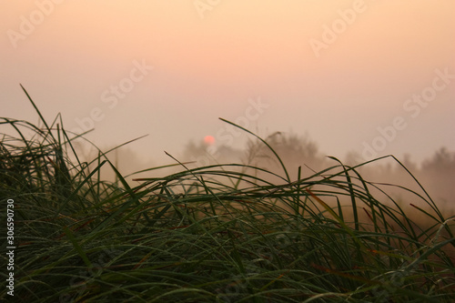 Morning fog in summer. The rising sun and morning light illuminate the fields.