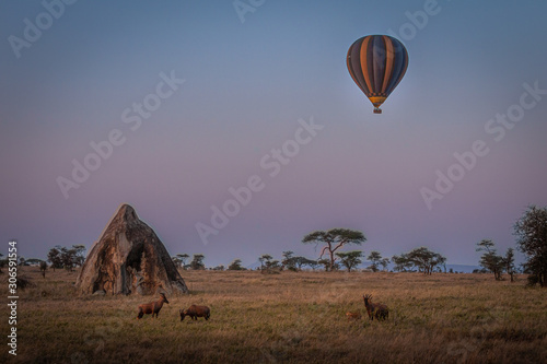 hot air balloon in Serengeti