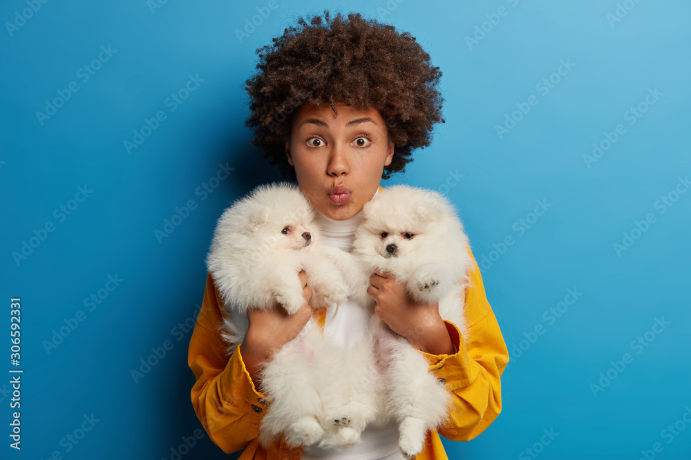 Photo of surprised Afro American woman embraces two white puppies, keeps lips folded as wants to kiss lovely pets, spends weekend with best friends, shocked to find out food ration of this breed