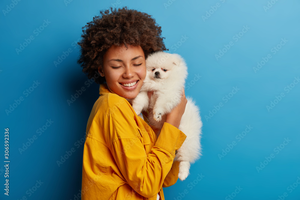 Studio shot of glad female model holds fluffy pet closely to face after grooming, smiles with happiness, cares about pedigree animal, being on friendly terms with dog, poses against blue background. Studio shot of glad female model holds fluffy pet closely to face after grooming, smiles with happiness, cares about pedigree animal, being on friendly terms with dog, poses against blue background.