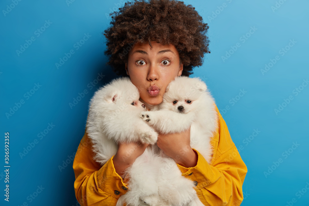 Veterinary, animals and people concept. Surprised teenage girl carries two pedigree puppies, rest together after visiting vet and having walk, cant imagine her life without dogs, likes spitz Veterinary, animals and people concept. Surprised teenage girl carries two pedigree puppies, rest together after visiting vet and having walk, cant imagine her life without dogs, likes spitz