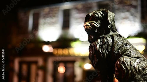Hand rubbing or touching nose of the famous Greyfriars Bobby dog statue for luck - a popular tourist attraction and a tradition in Edinburgh, Scotland photo