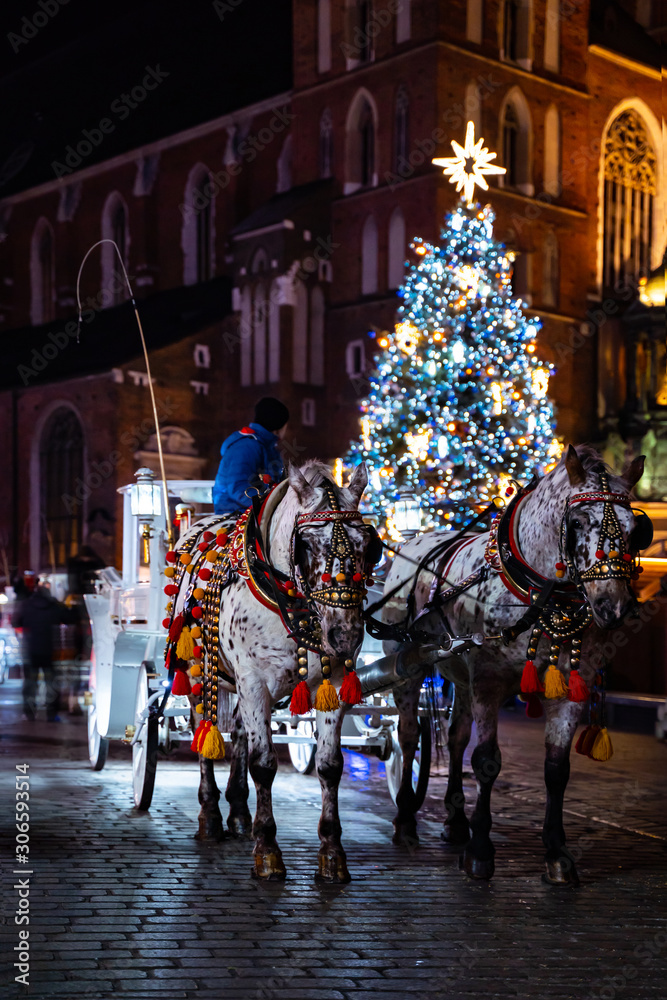 Traditional Cracow winter holiday romantic scenery with decorated horses and christmas tree against Saint Mary's Basilica, December 2019