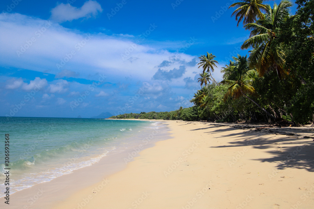 Plage paradisiaque de Martinique