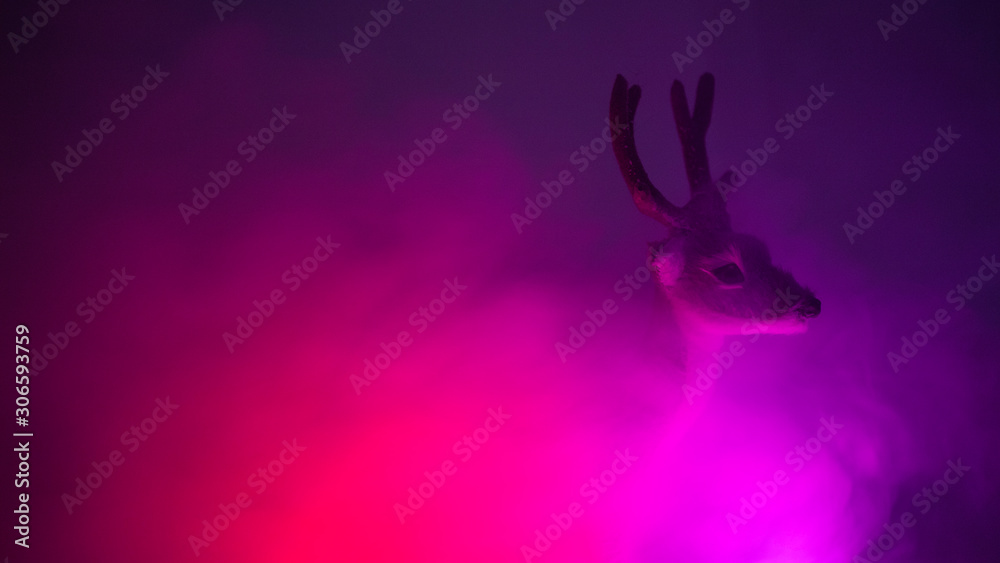 Rentier im Nebel Pink Stock Photo | Adobe Stock