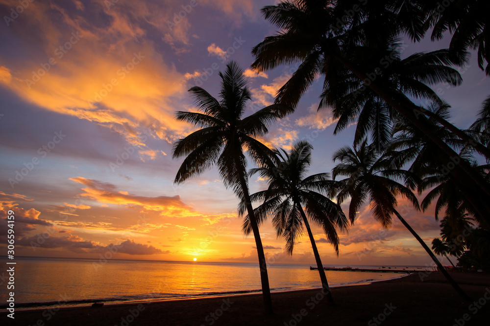 tropical beach sunset