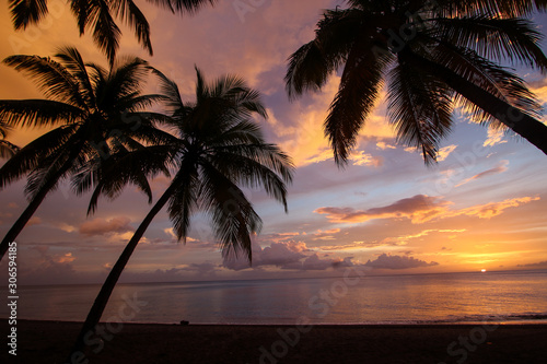 tropical beach sunset