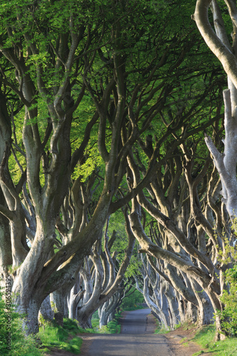 The Dark Edge - Irlande