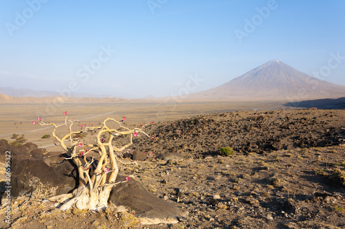 Lake Natron area landscape, Tanzania, Africa. Ol Doinyo Lengai volcano