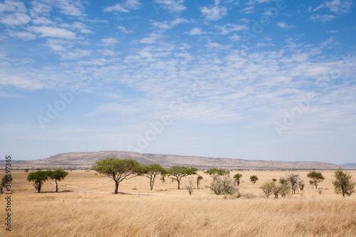 Serengeti National Park landscape, Tanzania, Africa