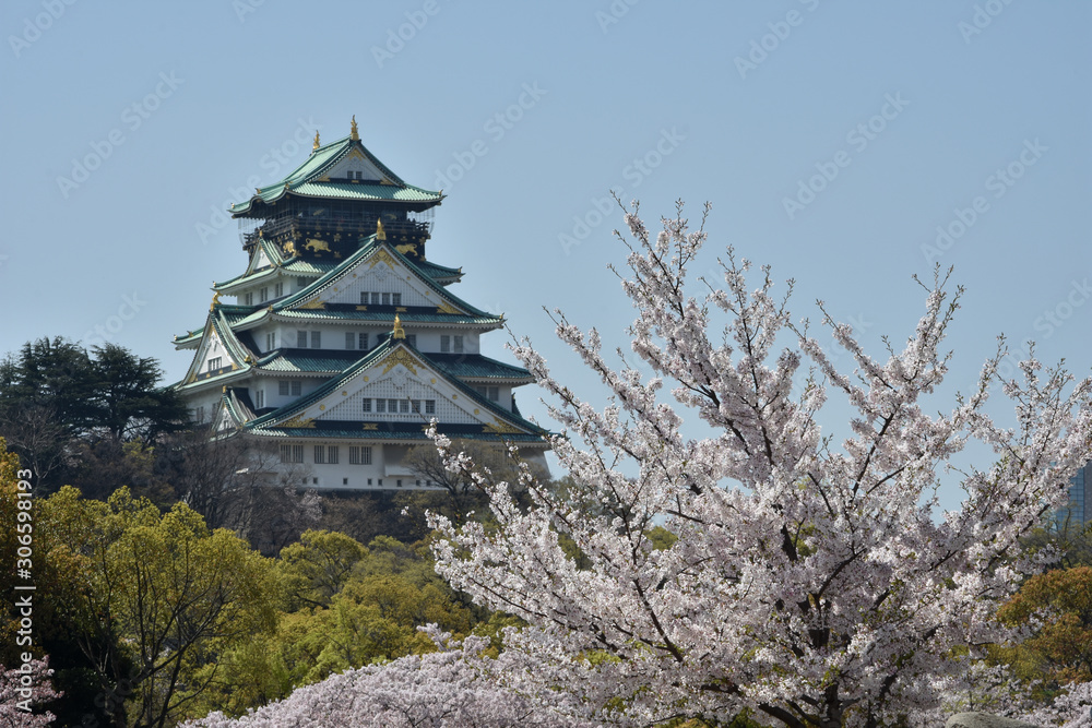 天守閣と桜 天守閣と桜