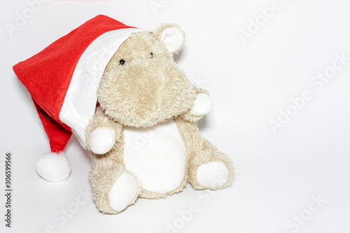 A teddy hippo in red santa haton white background with copy space, happy children holiday concept photo