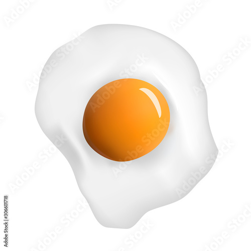 vector fried egg on a white isolated background