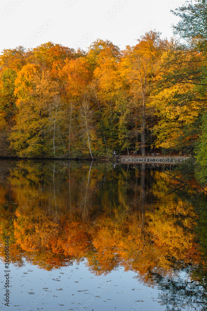 Colorful autumn landscape with orange trees reflected in the pond 