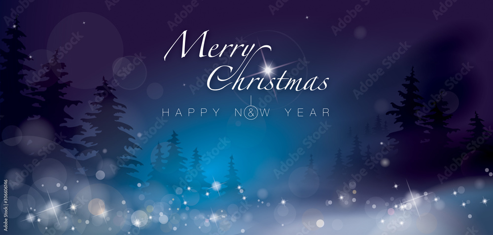 MERRY CHRISTMAS _ HAPPY NEW YEAR