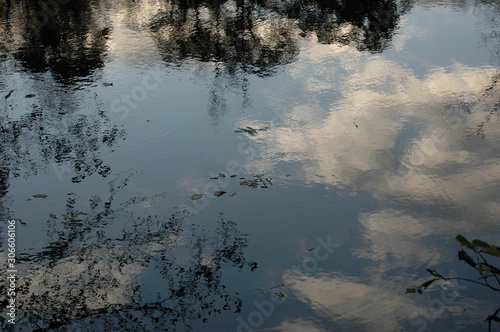 Painting-lke image of shadowy reflections of dark tree tops,  blue sky, and soft clouds in the ripples of a pond befoe sunset