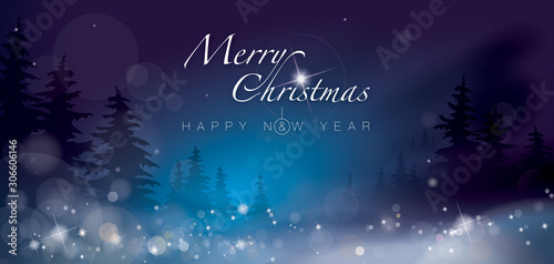 MERRY CHRISTMAS _ HAPPY NEW YEAR