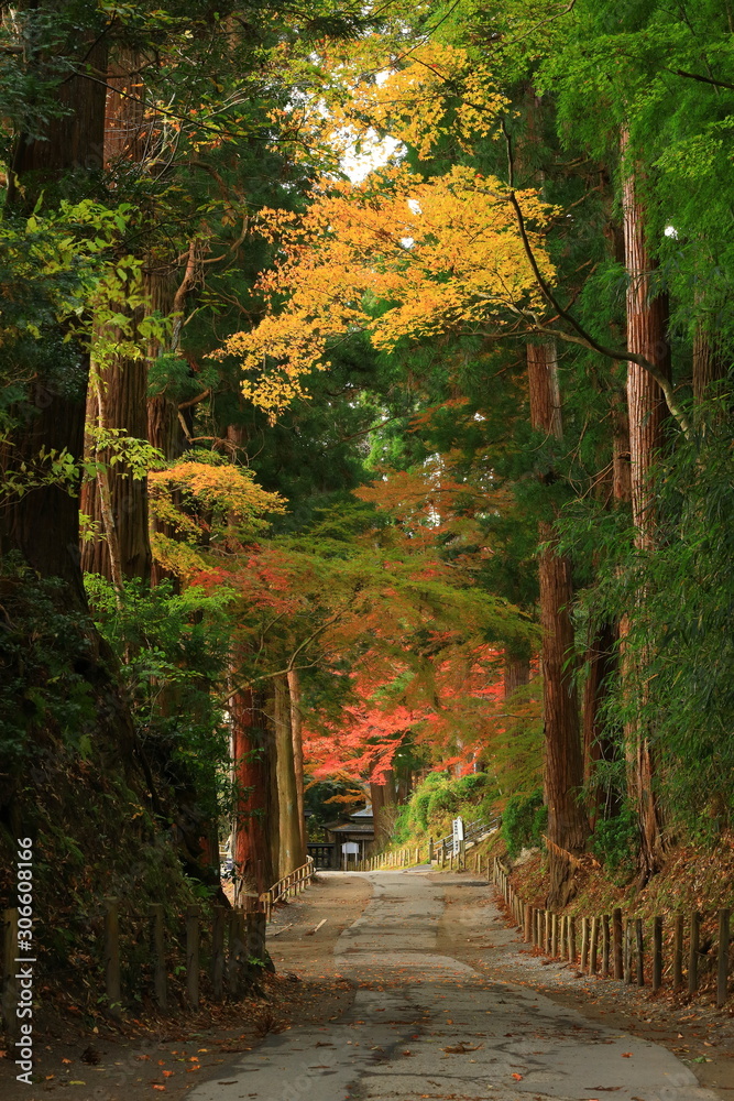 Obraz premium 世界遺産 紅葉の中尊寺
