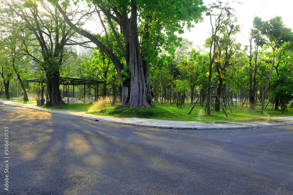 Empty brick road in the public park