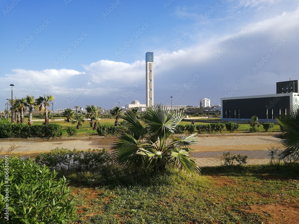 Obraz premium Beautiful view of the big mosque of algiers