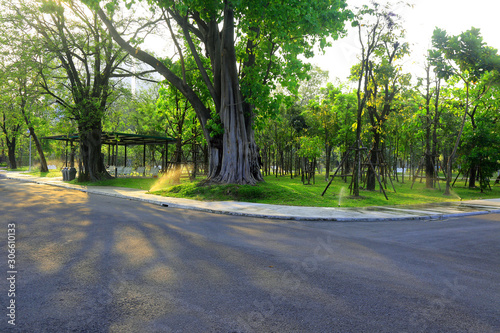 Empty brick road in the public park