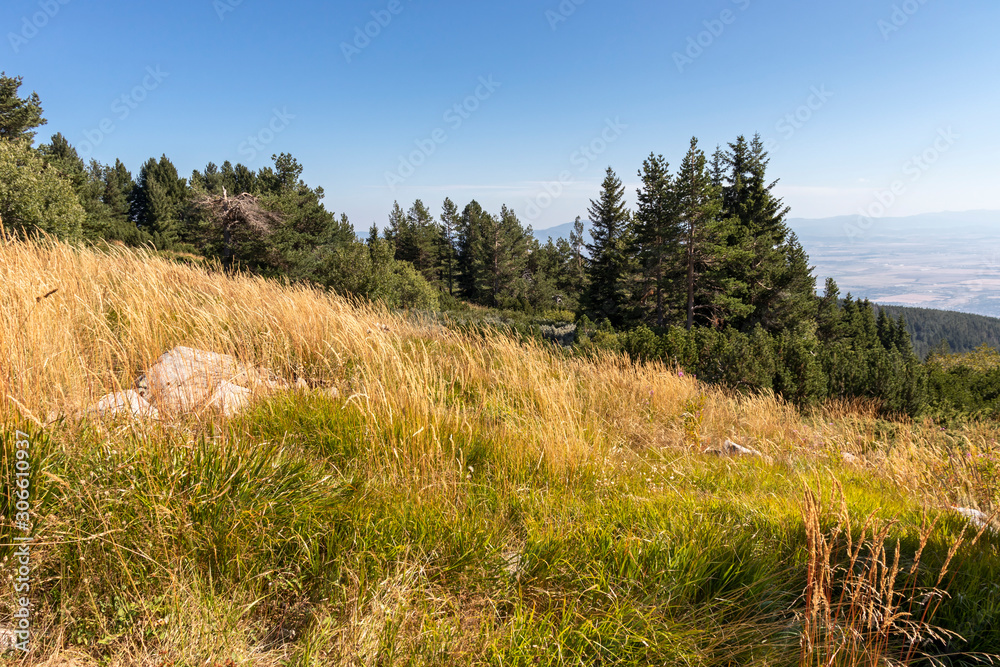 Autumn Panorama of Vitosha Mountain, Bulgaria