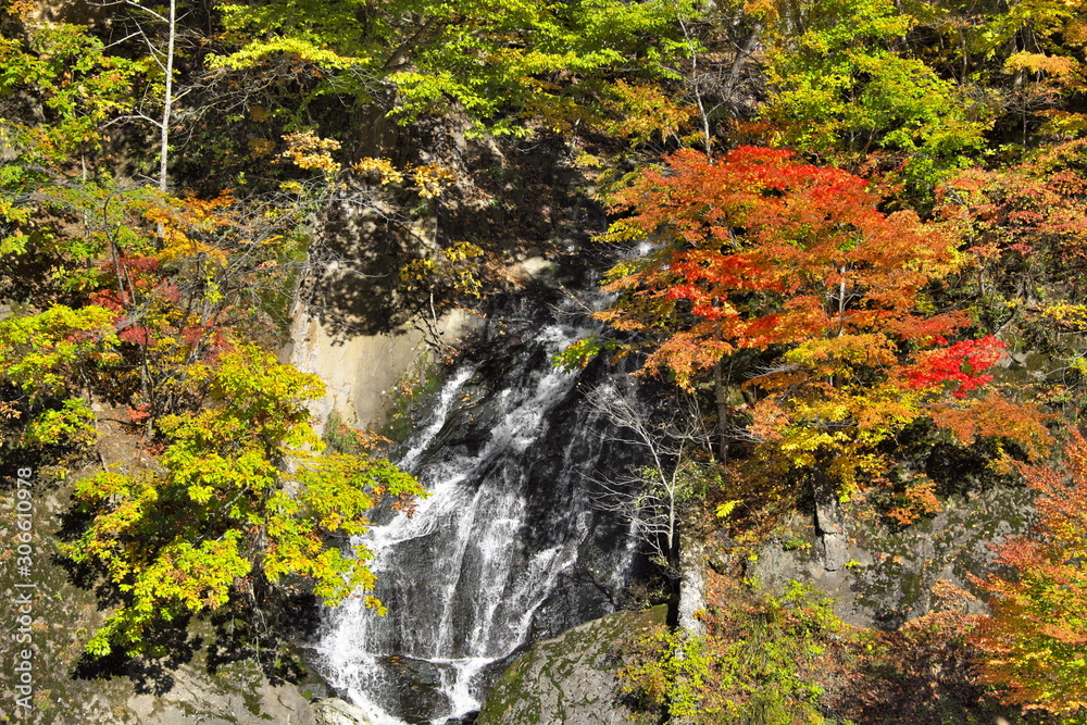 紅葉の滝