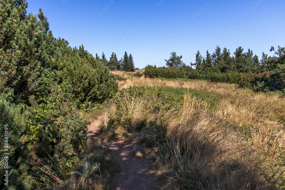 Autumn Panorama of Vitosha Mountain, Bulgaria Autumn Panorama of Vitosha Mountain, Bulgaria