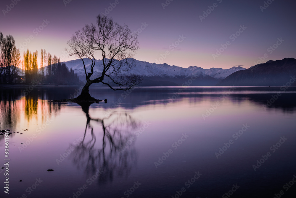 The famous lake Wanaka tree at twilight, South Island, New Zealand The famous lake Wanaka tree at twilight, South Island, New Zealand