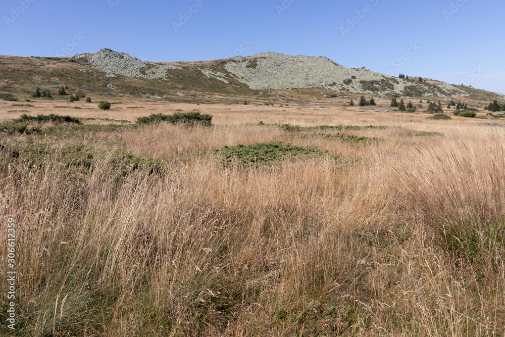 Autumn Panorama of Vitosha Mountain, Bulgaria Autumn Panorama of Vitosha Mountain, Bulgaria