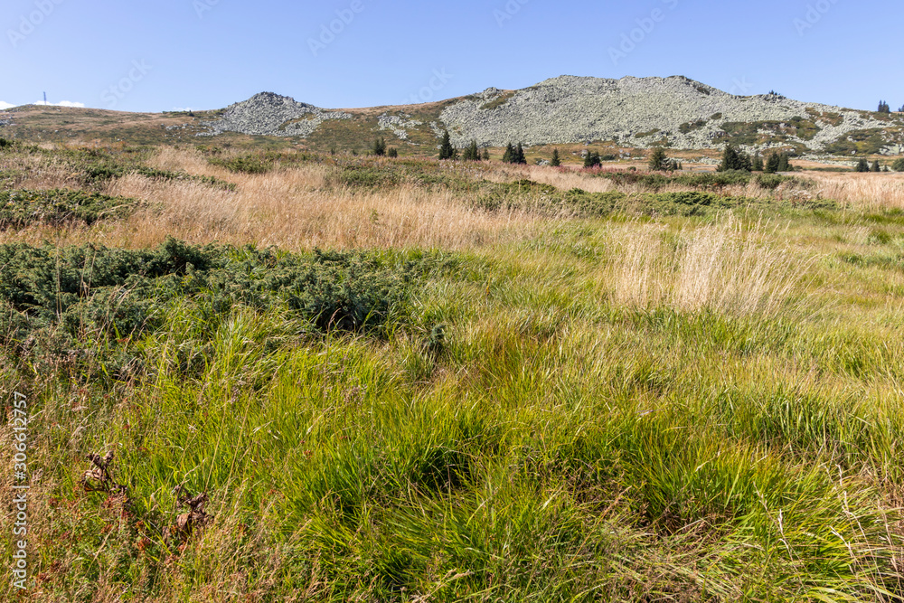 Autumn Panorama of Vitosha Mountain, Bulgaria