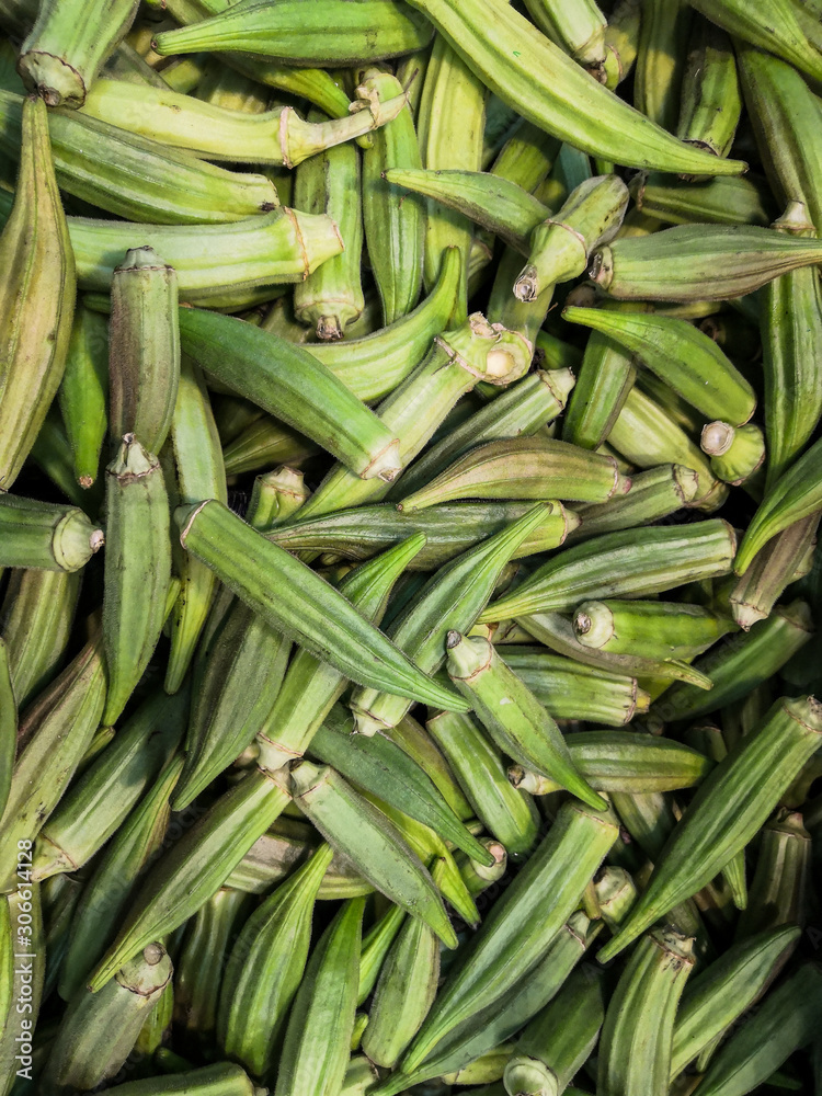 Harvest of fresh okra, tropical vegetable Harvest of fresh okra, tropical vegetable