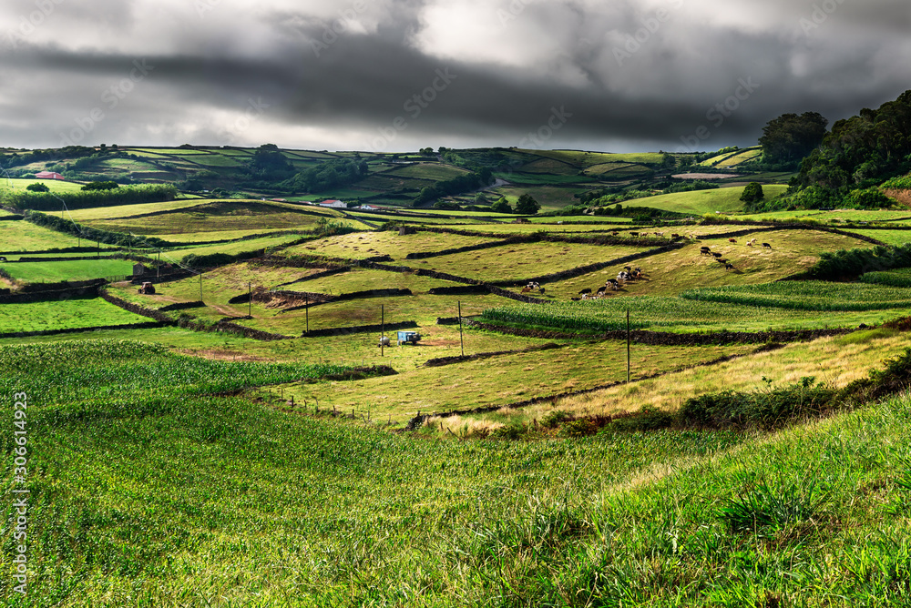 landscape in terceira, view of the green landscape in terceira, azores, portugal.