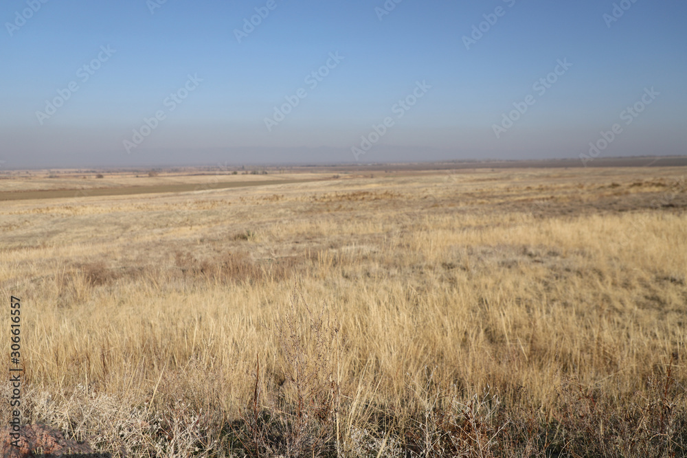 Autumn steppe in Kazakhstan. Yellow grass. Landscape.