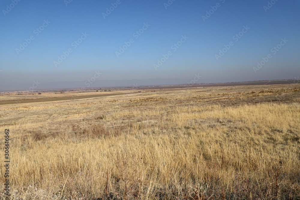 Autumn steppe in Kazakhstan. Yellow grass. Landscape.