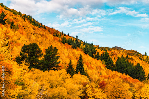 Autumn 